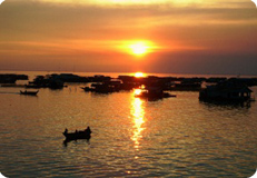 Guest comments in English