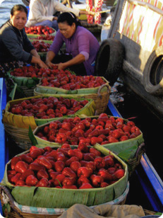 Guest comments in English