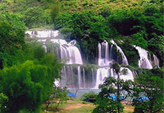 Guest comments in English