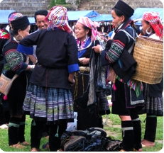 Guest comments in English