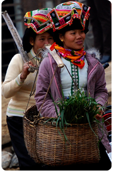 Guest comments in English