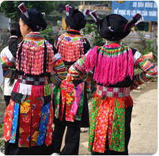 Guest comments in English