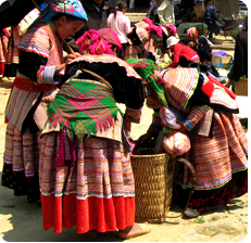 Guest comments in English