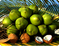 Guest comments in English