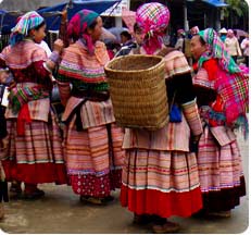 Guest comments in English