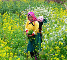 Guest comments in English