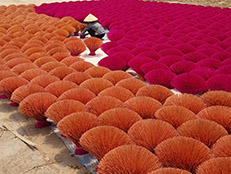 Guest comments in English