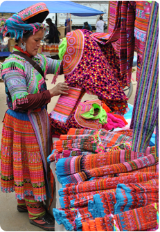 Guest comments in English