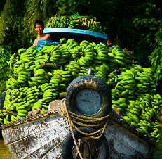 Guest comments in English