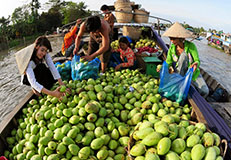 Guest comments in English