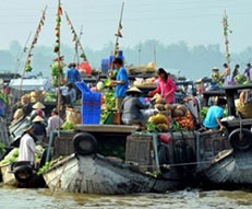 Guest comments in English