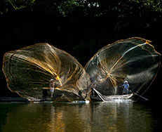 Guest comments in English