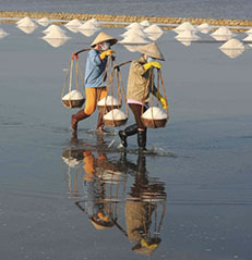 Guest comments in English