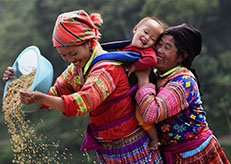 Guest comments in English