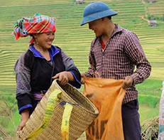 Guest comments in English