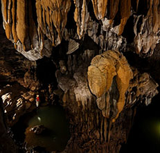 Guest comments in English