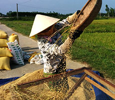 Guest comments in English