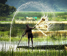 Guest comments in English