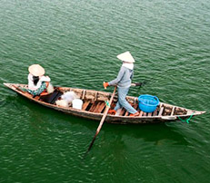 Guest comments in English