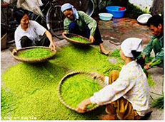 Guest comments in English