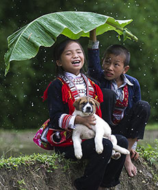 Guest comments in English