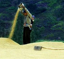 Guest comments in English