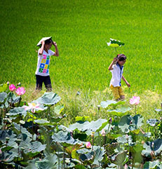 Guest comments in English